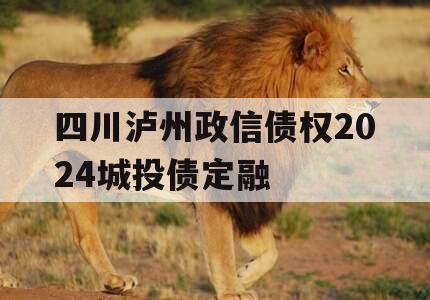 四川泸州政信债权2024城投债定融