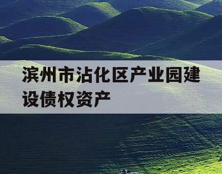 滨州市沾化区产业园建设债权资产