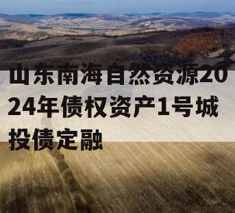 山东南海自然资源2024年债权资产1号城投债定融