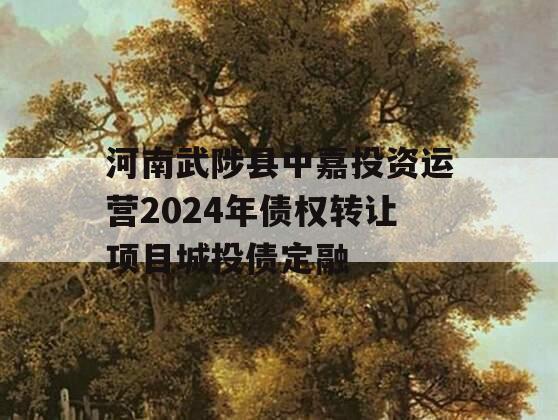 河南武陟县中嘉投资运营2024年债权转让项目城投债定融