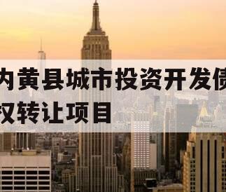 内黄县城市投资开发债权转让项目