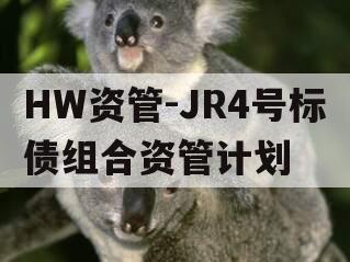 HW资管-JR4号标债组合资管计划