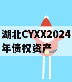 湖北CYXX2024年债权资产