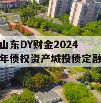 山东DY财金2024年债权资产城投债定融