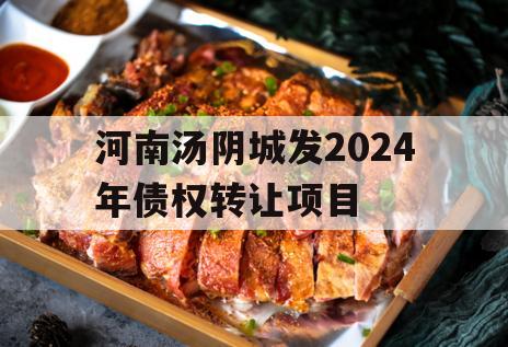 河南汤阴城发2024年债权转让项目