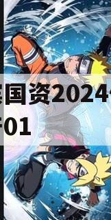 湖滨国资2024债权资产01