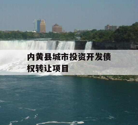 内黄县城市投资开发债权转让项目