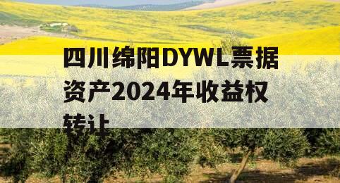 四川绵阳DYWL票据资产2024年收益权转让