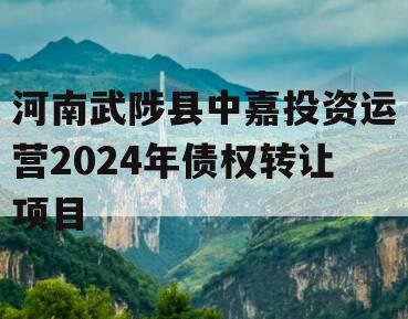 河南武陟县中嘉投资运营2024年债权转让项目