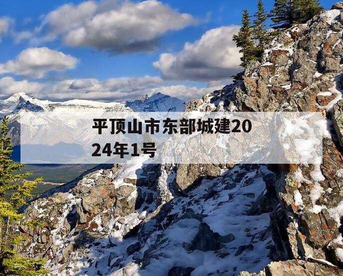 平顶山市东部城建2024年1号