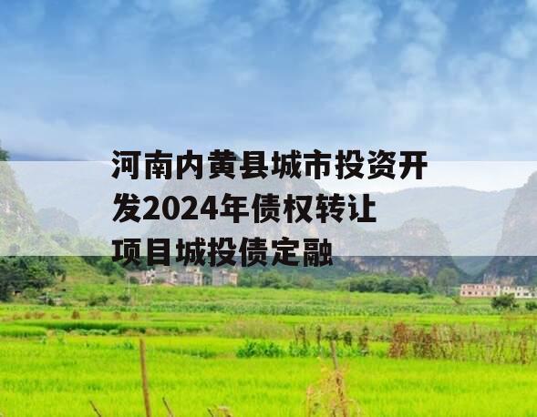 河南内黄县城市投资开发2024年债权转让项目城投债定融