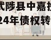 河南武陟县中嘉投资运营2024年债权转让项目