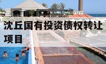 沈丘国有投资债权转让项目