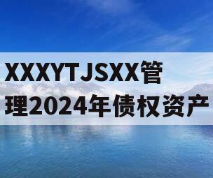 XXXYTJSXX管理2024年债权资产