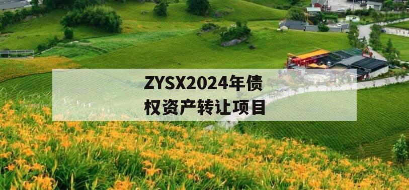 ZYSX2024年债权资产转让项目