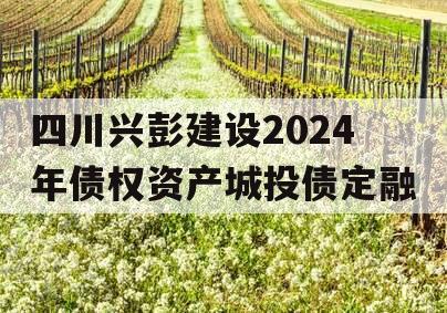 四川兴彭建设2024年债权资产城投债定融