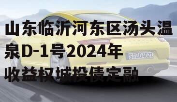 山东临沂河东区汤头温泉D-1号2024年收益权城投债定融