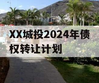 XX城投2024年债权转让计划