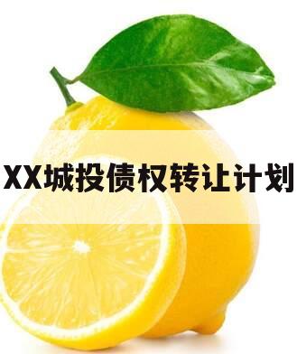 XX城投债权转让计划