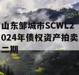 山东邹城市SCWL2024年债权资产拍卖二期