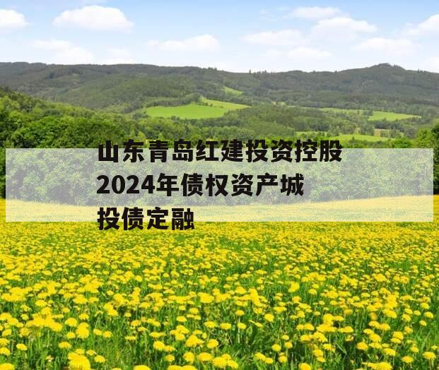 山东青岛红建投资控股2024年债权资产城投债定融