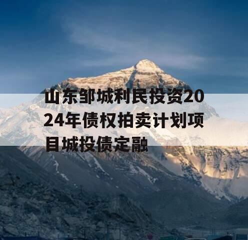 山东邹城利民投资2024年债权拍卖计划项目城投债定融