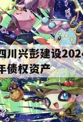 四川兴彭建设2024年债权资产