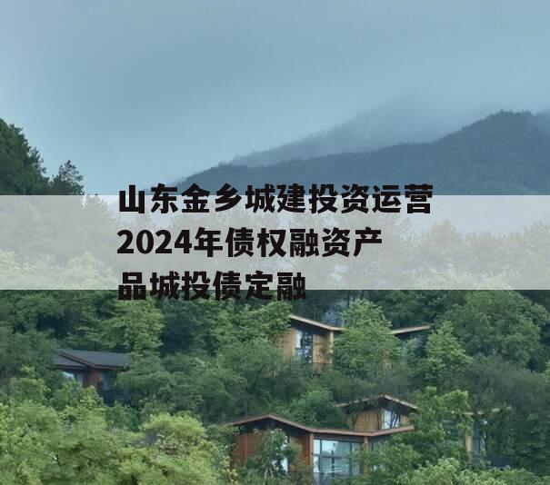 山东金乡城建投资运营2024年债权融资产品城投债定融