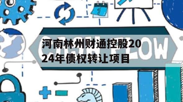 河南林州财通控股2024年债权转让项目