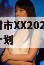 开封市XX2024融资计划