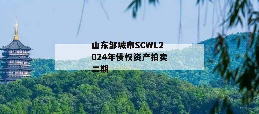 山东邹城市SCWL2024年债权资产拍卖二期