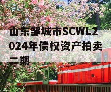 山东邹城市SCWL2024年债权资产拍卖二期