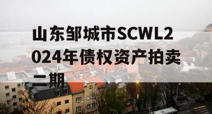 山东邹城市SCWL2024年债权资产拍卖二期