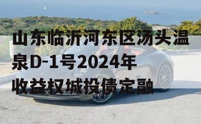 山东临沂河东区汤头温泉D-1号2024年收益权城投债定融