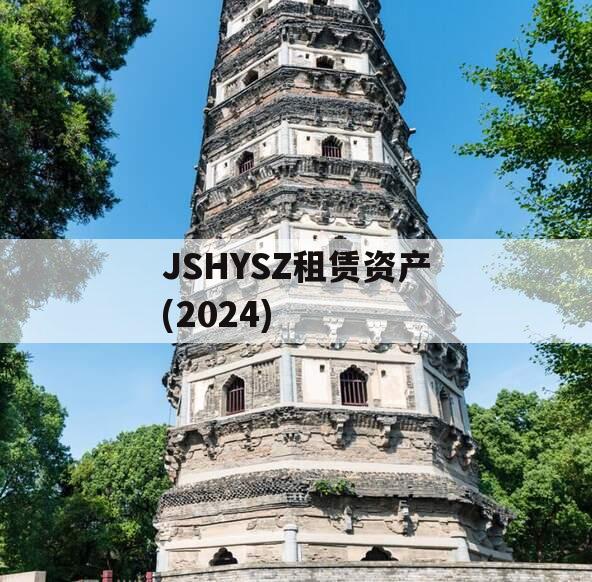 JSHYSZ租赁资产(2024)