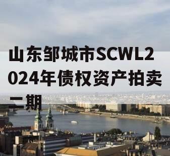 山东邹城市SCWL2024年债权资产拍卖二期