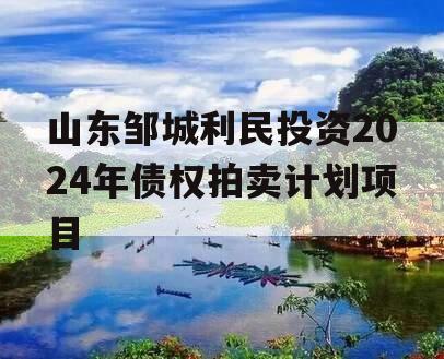 山东邹城利民投资2024年债权拍卖计划项目