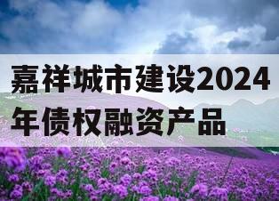 嘉祥城市建设2024年债权融资产品