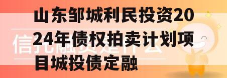 山东邹城利民投资2024年债权拍卖计划项目城投债定融