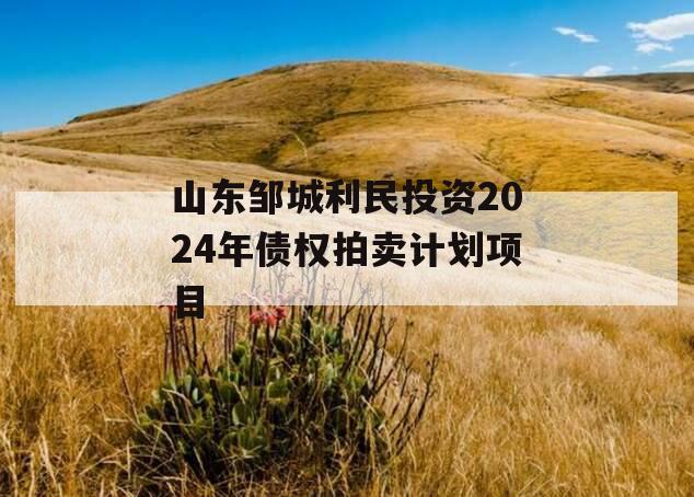 山东邹城利民投资2024年债权拍卖计划项目