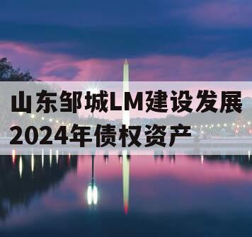 山东邹城LM建设发展2024年债权资产