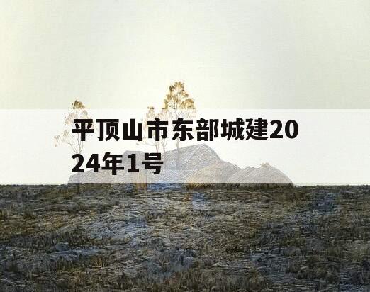 平顶山市东部城建2024年1号