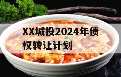 XX城投2024年债权转让计划