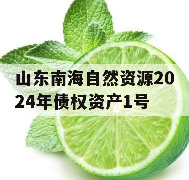 山东南海自然资源2024年债权资产1号