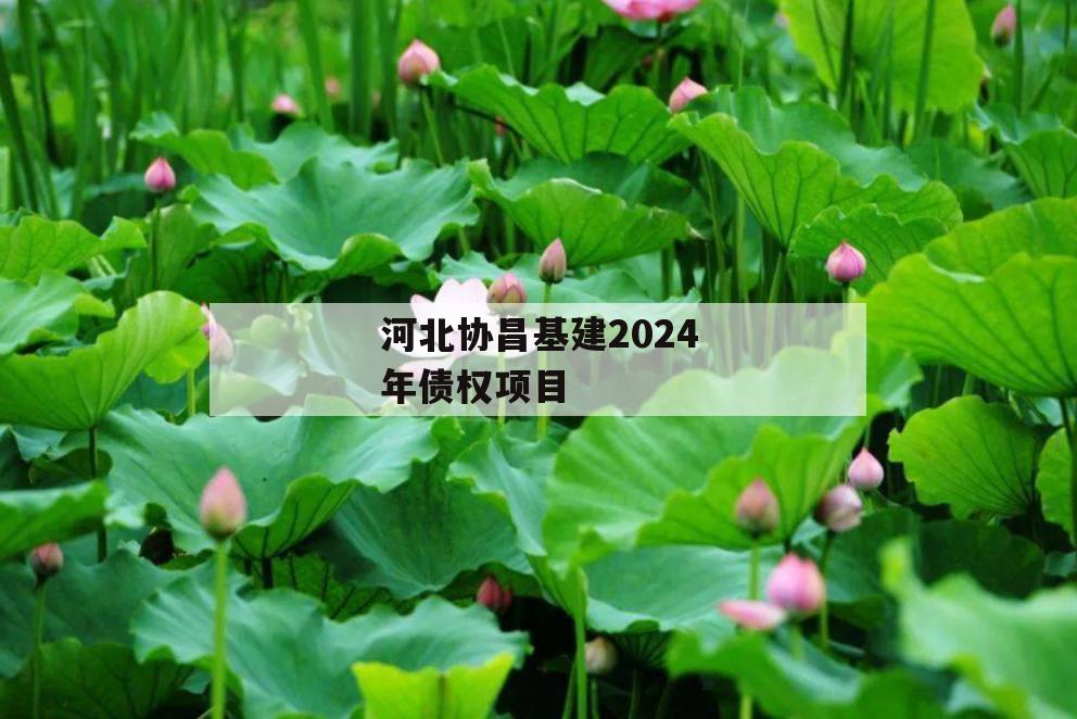 河北协昌基建2024年债权项目