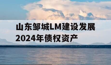 山东邹城LM建设发展2024年债权资产