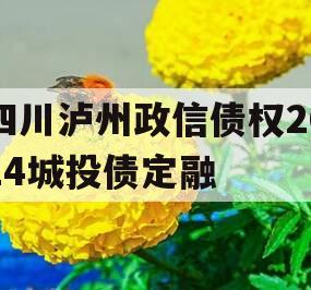 四川泸州政信债权2024城投债定融