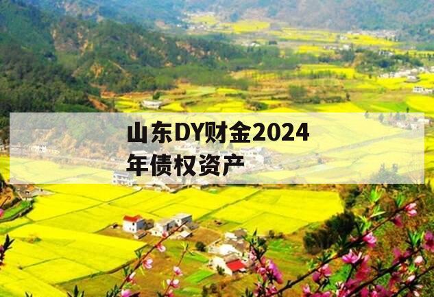 山东DY财金2024年债权资产