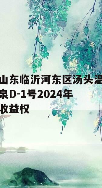 山东临沂河东区汤头温泉D-1号2024年收益权