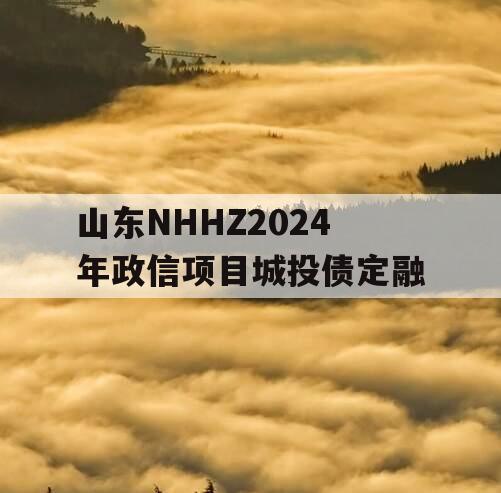 山东NHHZ2024年政信项目城投债定融